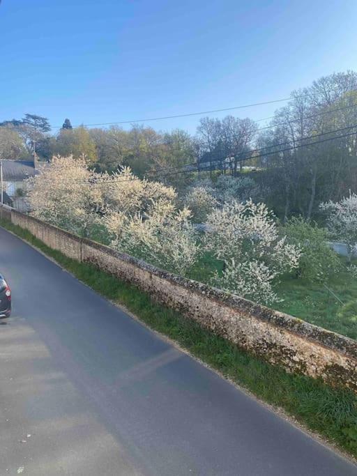 Gite Des Moriers Blois Bord De Loire Exterior photo